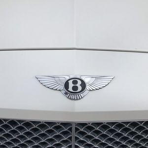 Meet your Posher, Caden